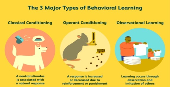 Teori Behaviourisme