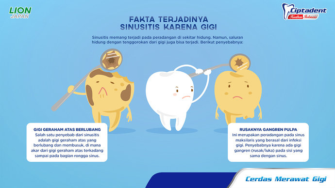 Ciptadent-Infographic-Fakta-terjadinya-Sinusitis-Karena-Gigi