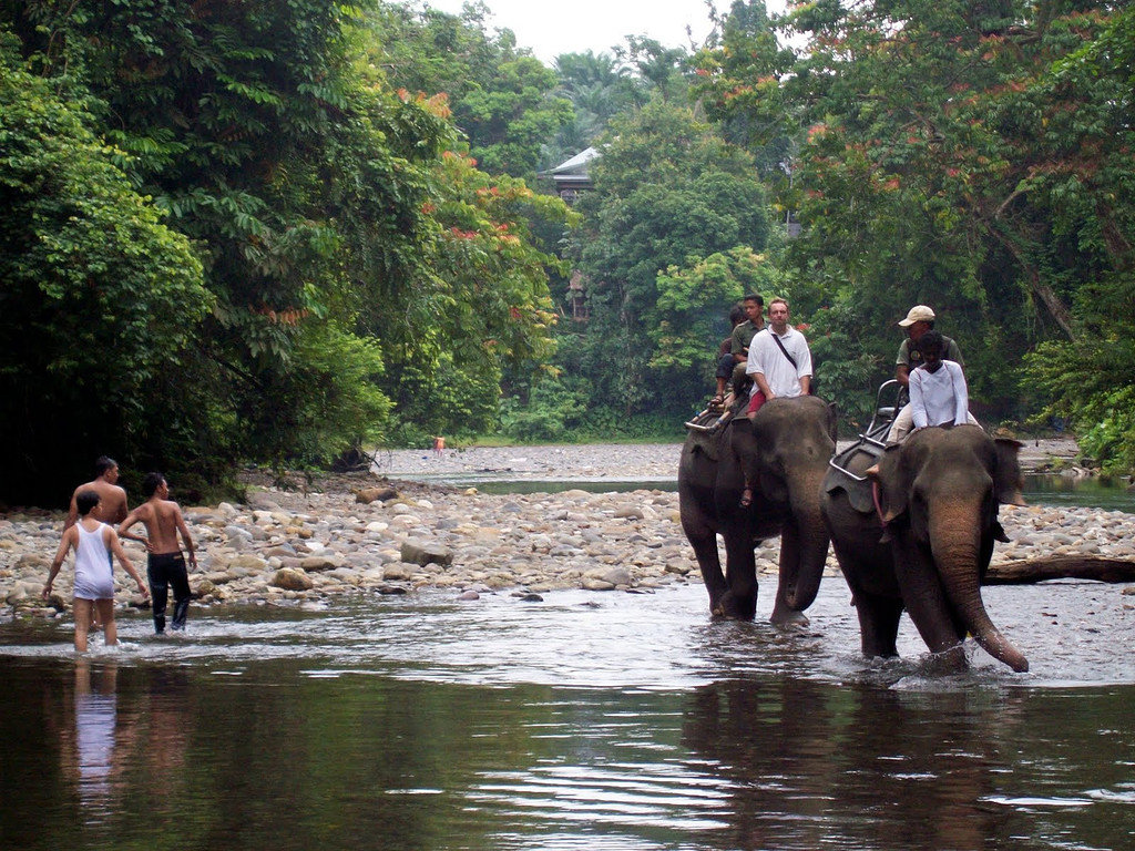 Apa Yang Dimaksud Dengan Ecotourism Atau Ekowisata? - Ilmu Pariwisata ...