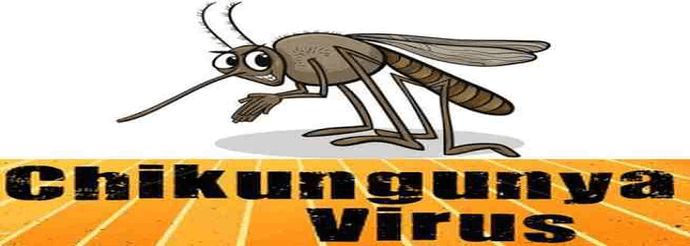 Dictio Chikungunya
