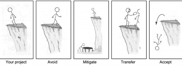 risk-management-options