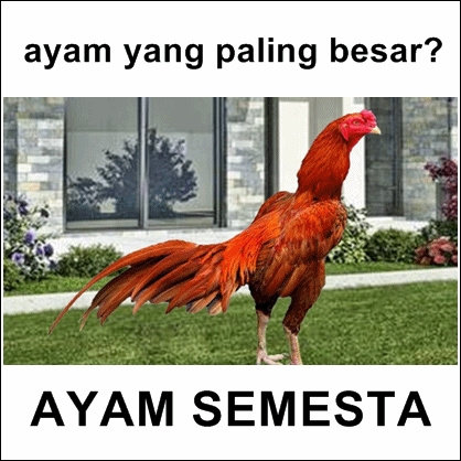 Meme tebak tebakan seputar hewan Humor Dictio munity