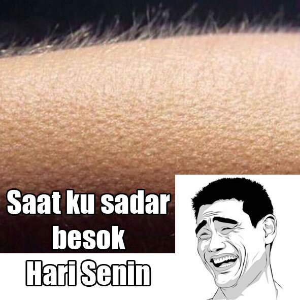 Kumpulan Meme Besok Senin Ini Dijamin Kocak Abis Humor Dictio