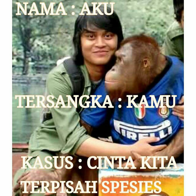 Meme Aku Dan Kamu Humor Dictio Community