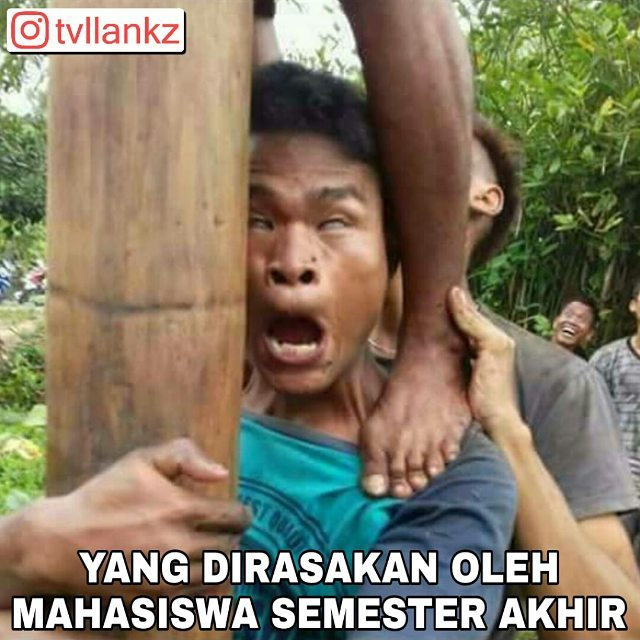 Meme Ekspresi Wajah Humor Dictio Community