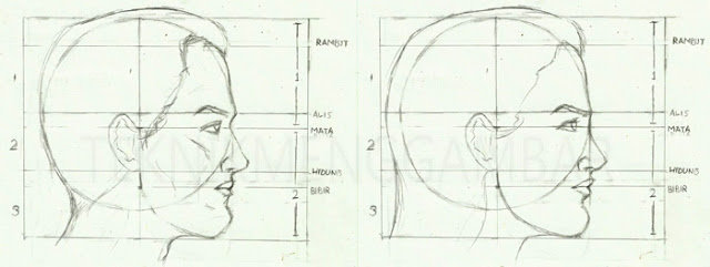 Apa yang dimaksud proporsi anatomi wajah manusia dalam menggambar