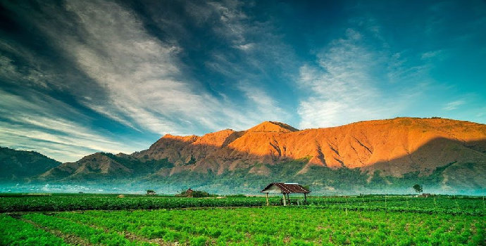 sabana di Indonesia