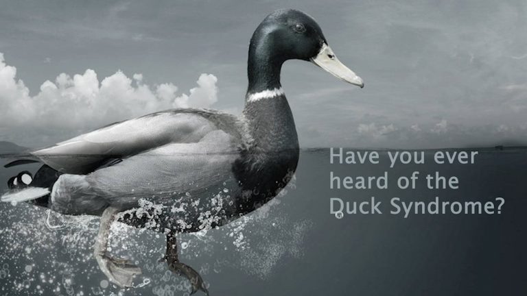 Duck Syndrome