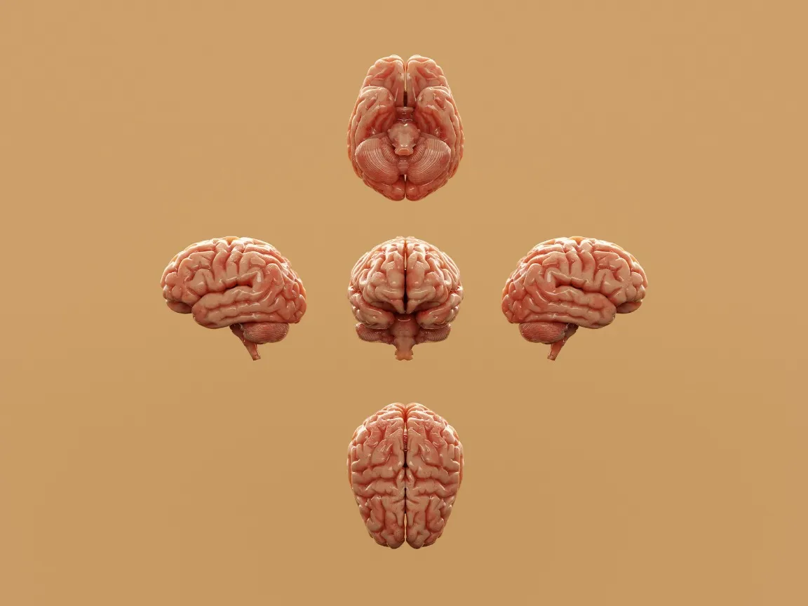 6 Strategi Efektif untuk Meminimalkan Cognitive Dissonance, Menurut Riset Psikologi