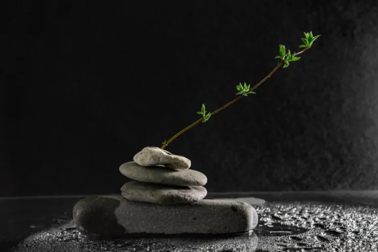 Ikigai: Konsep Jepang yang Direkomendasikan Psikolog untuk Menemukan Tujuan Hidup