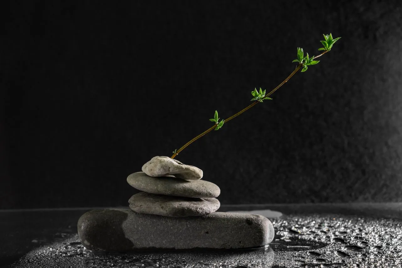 Ikigai: Konsep Jepang yang Direkomendasikan Psikolog untuk Menemukan Tujuan Hidup