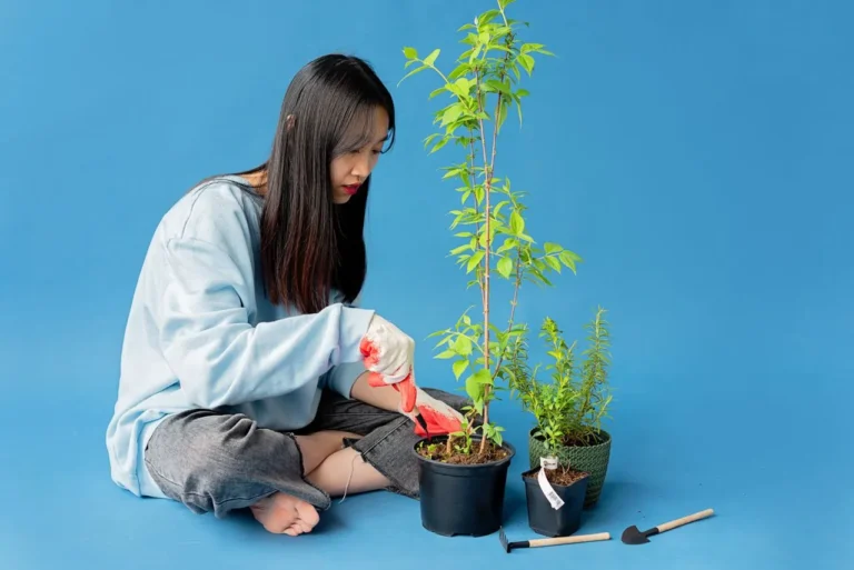 Bukan Sekadar Hobi! Pakar Psikologi Ungkap 7 Manfaat Berkebun untuk Kesehatan Mental